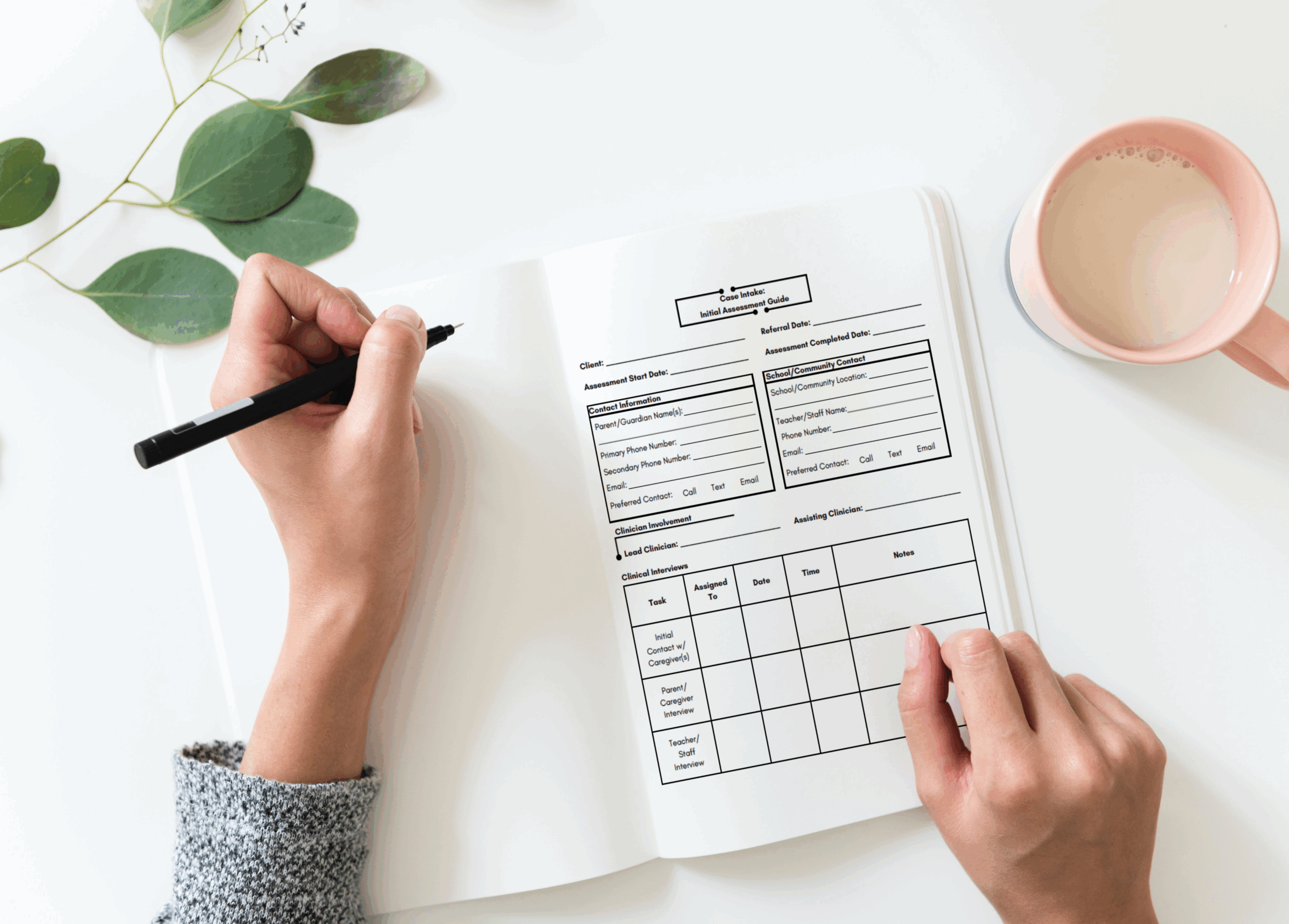 Initial Assessment Guide