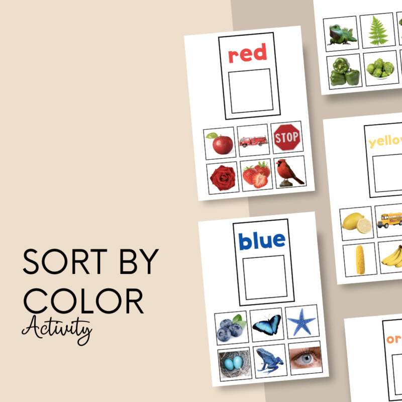 Sort by Color Activity Bundle